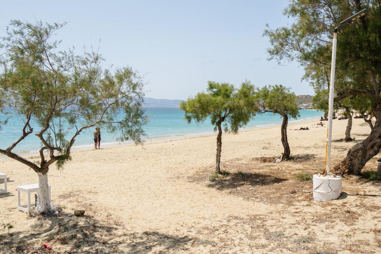 Flerianos Studios Naxos Agios Prokopios  Exteriér fotografie