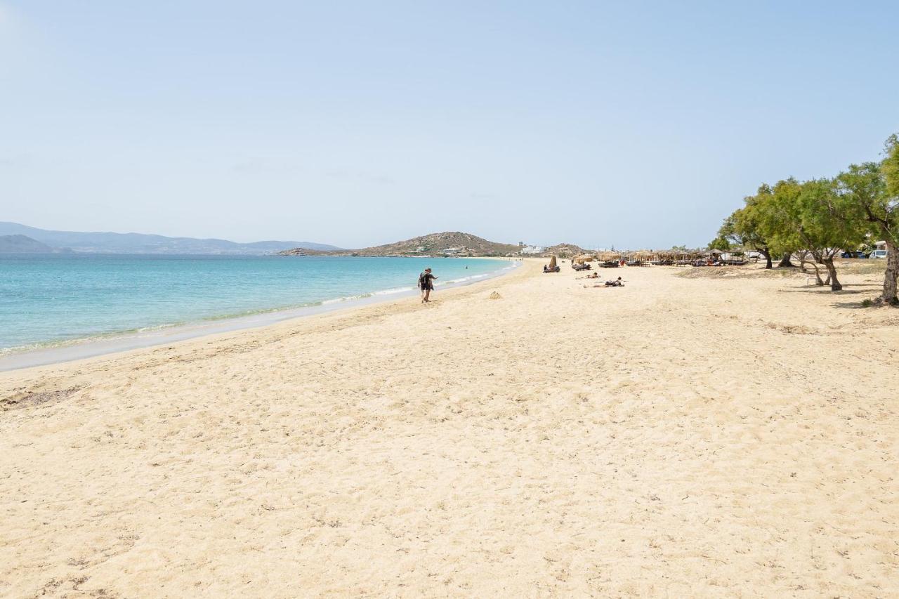 Flerianos Studios Naxos Agios Prokopios  Exteriér fotografie